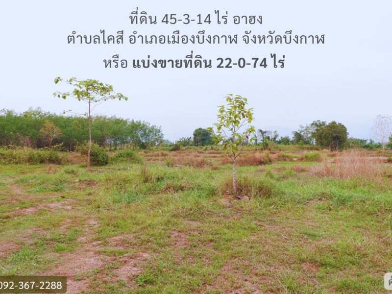 ที่ดินติดริมแม่น้ำโขง จังหวัดบึงกาฬ