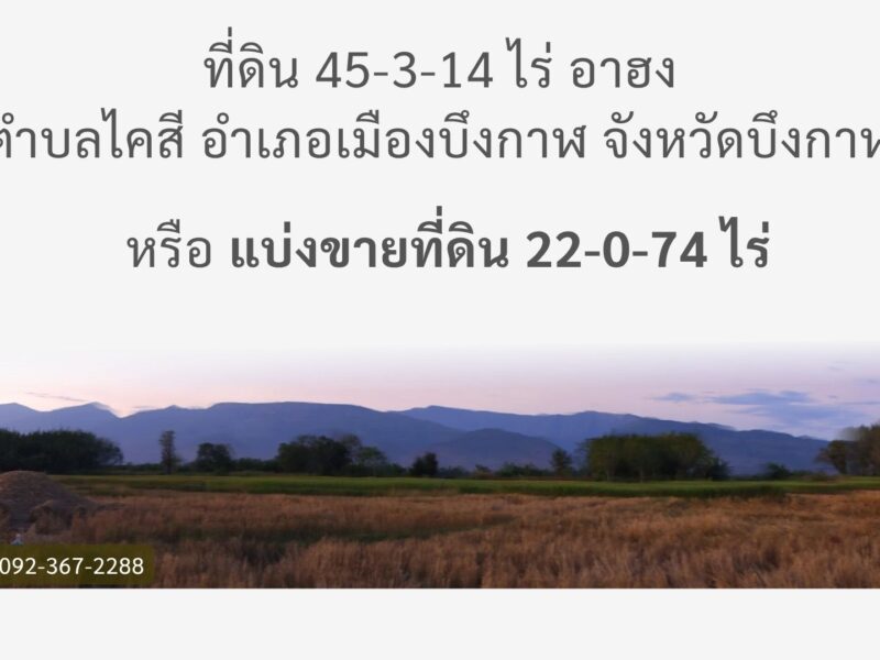 ที่ดินติดริมแม่น้ำโขง จังหวัดบึงกาฬ