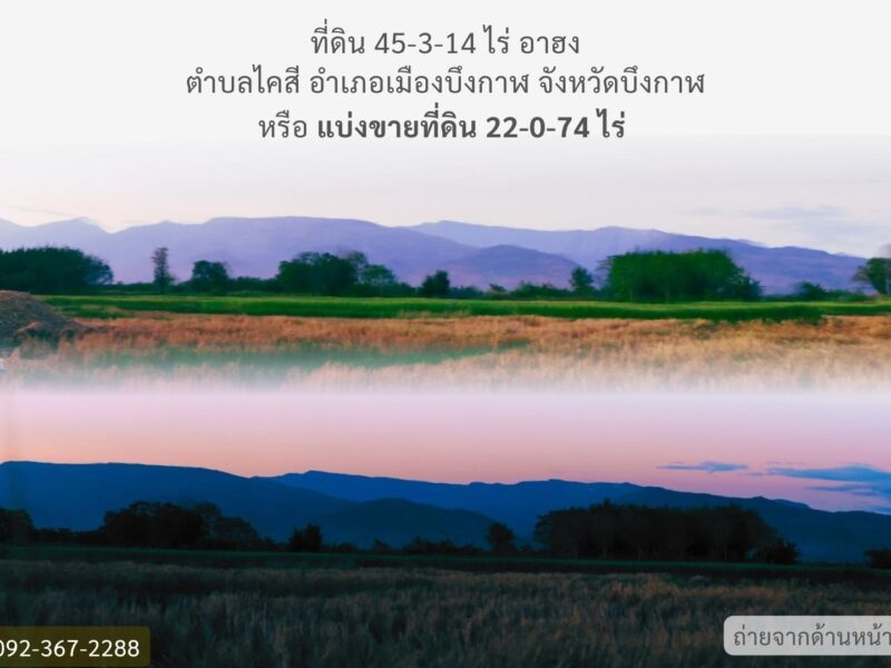 ที่ดินติดริมแม่น้ำโขง จังหวัดบึงกาฬ