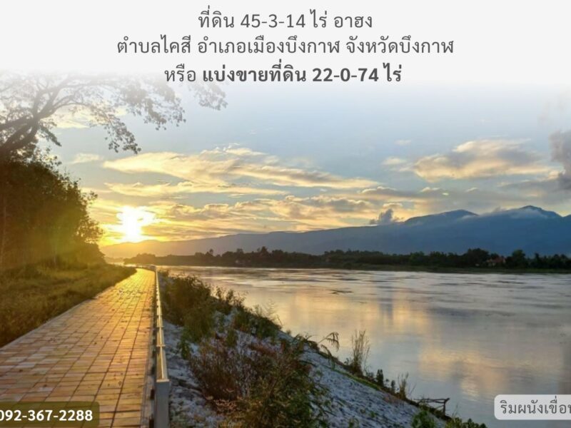 ที่ดินติดริมแม่น้ำโขง จังหวัดบึงกาฬ