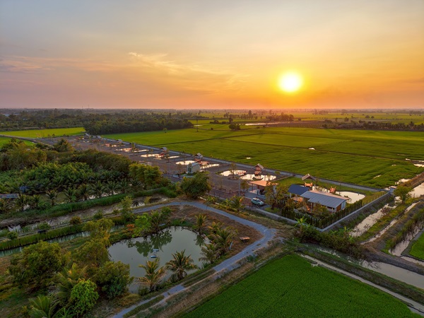 ที่ดินแบ่งขาย ที่ อ.สองพี่น้อง จ.สุพรรณบุรี สวยงาม พร้อมสร้างบ้าน เจ้าของขายเอง โทร 096-8817733
