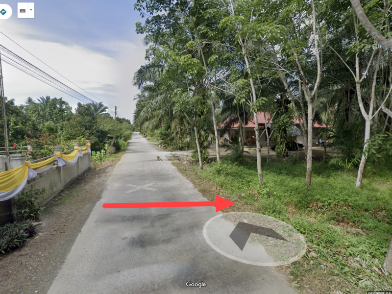 ขายที่ดินพร้อมต้นยางไร่เศษแปลงสวยๆ