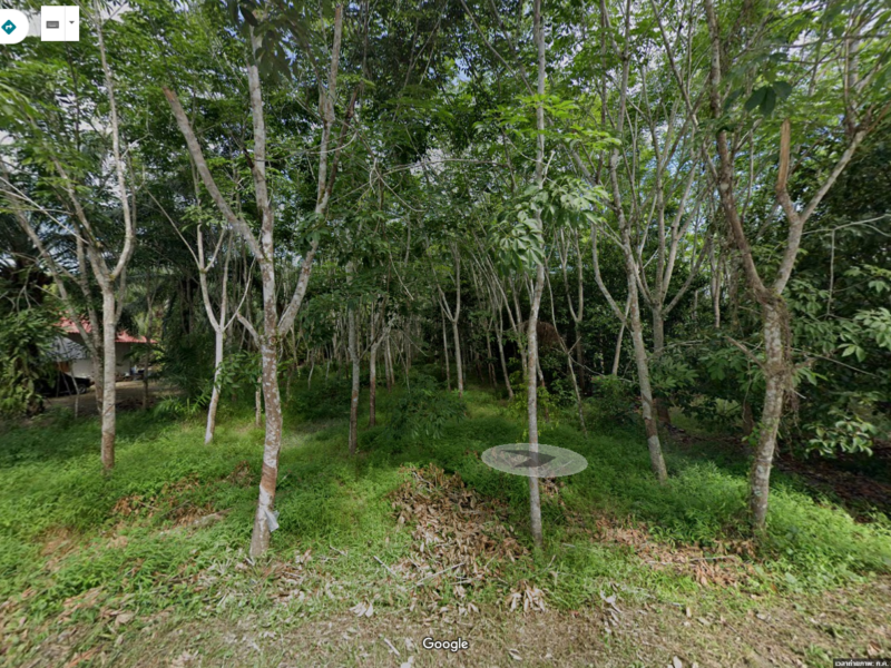 ขายที่ดินพร้อมต้นยางไร่เศษแปลงสวยๆ