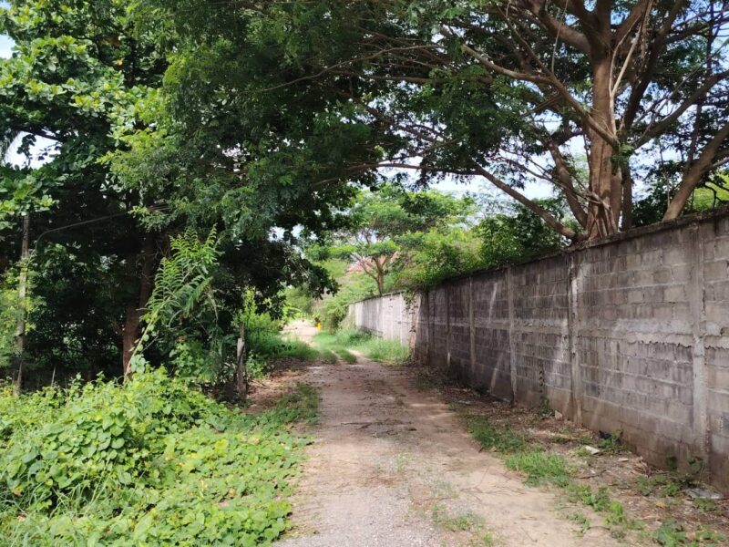 ขายที่ดิน โฉนดครุฑแดง ทำเลทอง