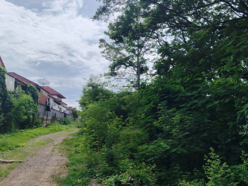 ขายที่ดิน โฉนดครุฑแดง ทำเลทอง