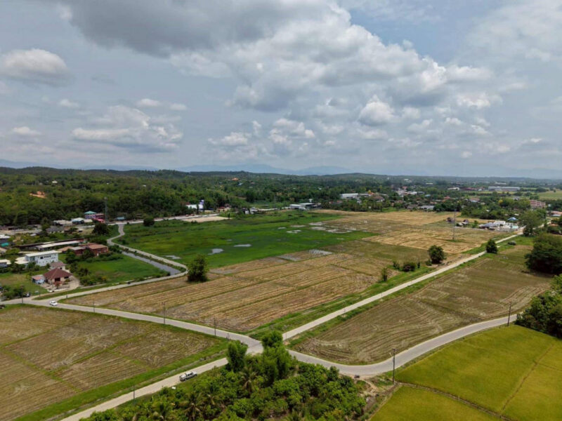 ขายที่ดินแม่ริม 67 ไร่ 0 งาน 79 ตร.ว. ใกล้ถนนโชตนา ตรงข้ามเทศบาลตำบลขี้เหล็ก