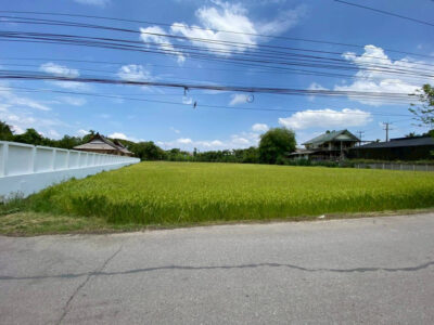 ขายที่ดินแม่ริมเชียงใหม่ 3-1-26 ไร่ ใกล้ อบต.ห้วยทราย และ รร.บ้านหนองปลามัน
