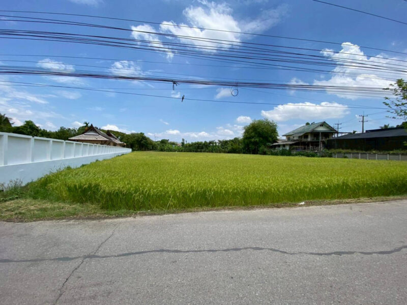 ขายที่ดินแม่ริมเชียงใหม่ 3-1-26 ไร่ ใกล้โรงเรียนนานาชาติเปรม ติณสูลานนท์