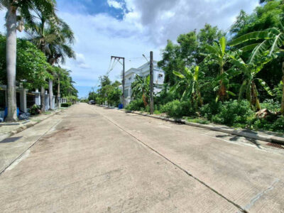 ขาย ที่ดิน หมู่บ้าน Evergreen city บางแค 580 ตรว อยู่ริมถนนเมนของโครงการ
