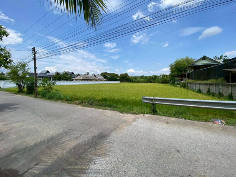 ขายที่ดินแม่ริมเชียงใหม่ 3-1-26 ไร่ ใกล้โรงเรียนนานาชาติเปรม ติณสูลานนท์