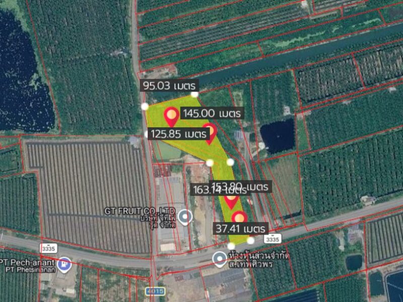ขายที่ดิน อ.บ้านแพ้ว ใกล้จุดขึ้น-ลง M8 บางแพ เนื้อที่ 9 ไร่ 2งาน ติดถนนใหญ่สาย 3335 เชื่อมต่อนครปฐม-ราชบุรี 泰国曼谷西南潜力土地出售｜靠近未来 M8 高速公路｜9 莱 2 ngan｜售价 2,450 万泰铢