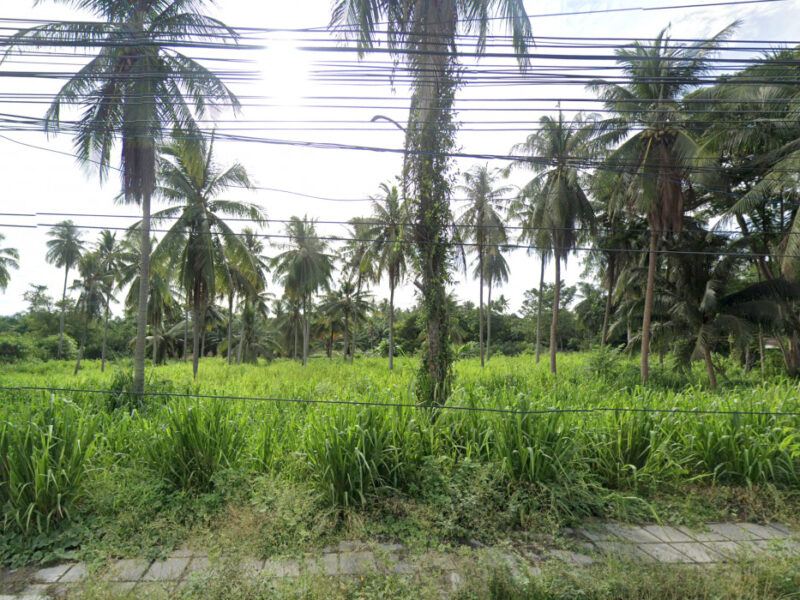 ขาย ที่ดิน ริมถนนมอเตอร์เวย์ อ.ศรีราชา 45 ไร่กว่า เหมาะทำจัดสรร โกดัง