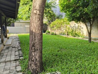 ขายด่วน! ที่ดินวิวภูเขา 180° ทำเลทอง ต.บ้านปง อ.หางดง เชียงใหม่ บรรยากาศดีที่สุ