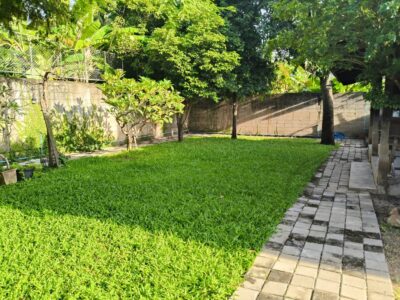 ขายที่ดินช้างม่อย(เชียงใหม่) พร้อมอาคาร 206 ตรว 22 ล้าน