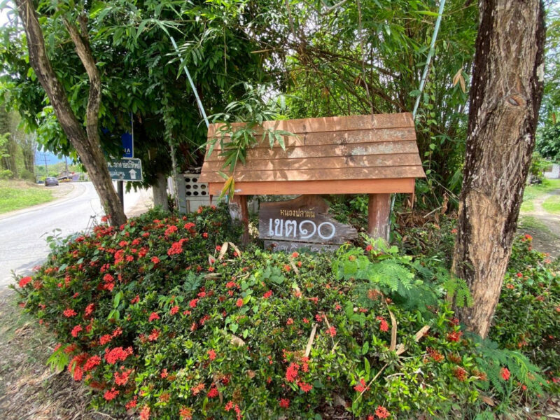 ขายที่ดินแม่ริมเชียงใหม่ 3-1-26 ไร่ ใกล้ อบต.ห้วยทราย และ รร.บ้านหนองปลามัน