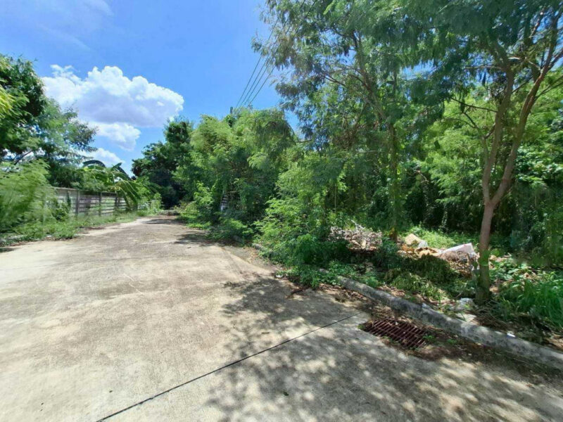 ขาย ที่ดิน หมู่บ้าน Evergreen city บางแค 274 ตรว ถูกมาก ความเป็นส่วนตัวสูง