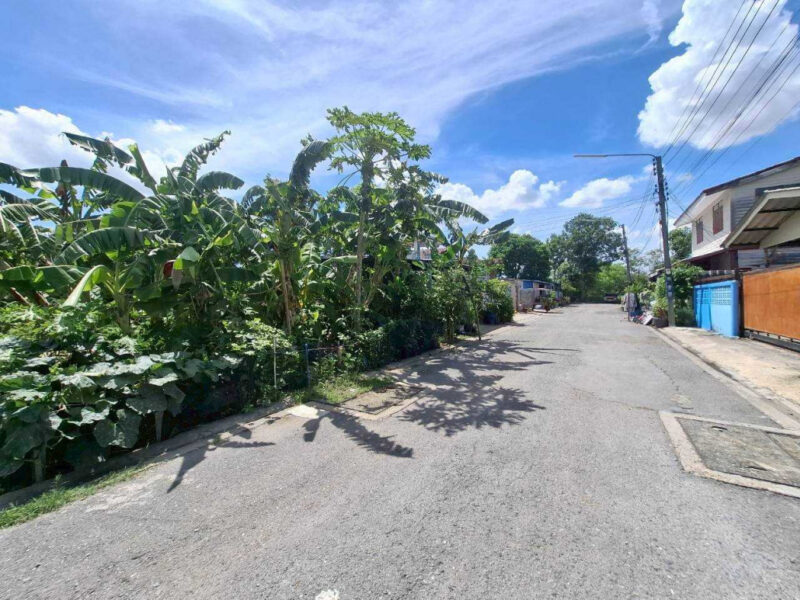 ขาย ที่ดิน ซอยรังสิต-นครนายก 55 118 ตรว ใกล้ถนนรังสิต-นครนายก เพียง 1.4 กม.