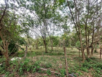 ที่ดินบ้านปง เชียงใหม่ ที่ดินเป็น นส 3 พื้นที่ 32ไร่ ขายราคา 150ล้าน ราคาคุยได้