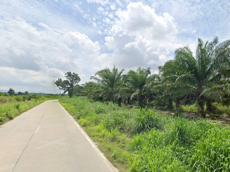ขาย ที่ดิน ริมถนนมอเตอร์เวย์ อ.ศรีราชา 45 ไร่กว่า เหมาะทำจัดสรร โกดัง