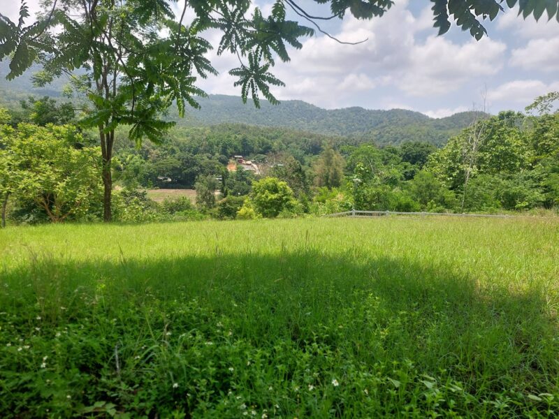 ขายที่ดิน ต.บ้านปง อ.หางดง จ.เชียงใหม่ 800 ตรว 7 ล้าน