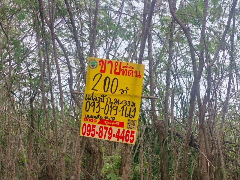 ขายถูกที่ดิน 200 ตรว ติดถนนสาธารณะ คลอง 12 หนองเสือ ปทุมธานี