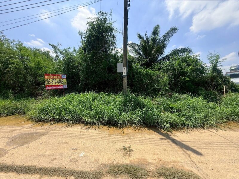 ขายที่ดินใกล้ตลาดสี่แยกทศกัณฑ์ 131 ตรว ติดถนนคอนกรีต ซ.บางแวก 144 ภาษีเจริญ กทม