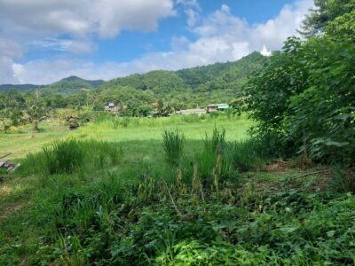 ขาย/เช่าระยะยาว ที่ดินบ้านปง อ.หางดง จ.เชียงใหม่ 2ไร่ 8 ล้าน