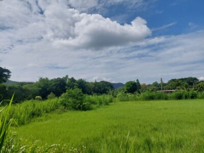 ขาย/เช่าระยะยาว ที่ดินบ้านปง อ.หางดง จ.เชียงใหม่ 4 ไร่ 16 ล้าน