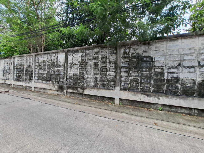ขาย ที่ดิน แถมโกดัง อ่อนนุช17 215 ตรว ถนนกว้าง 6 เมตร
