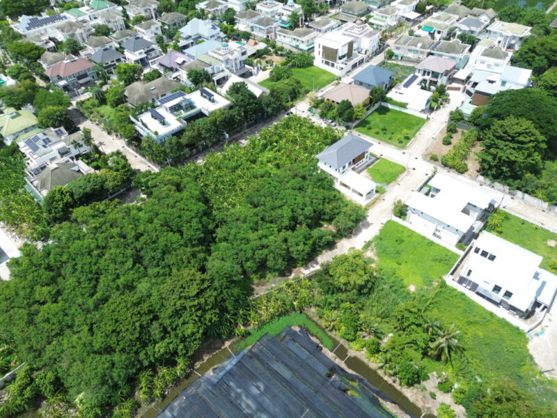 ขาย ที่ดิน หมู่บ้าน Evergreen city บางแค 274 ตรว ถูกมาก ความเป็นส่วนตัวสูง