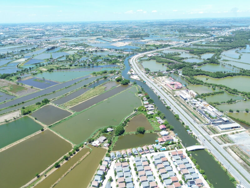 ขาย ที่ดิน ถูกมาก ริมถนนสุขุมวิท อ.บางพลี 56 ไร่ ผังสีเหลือง เหมาะทำจัดสรร