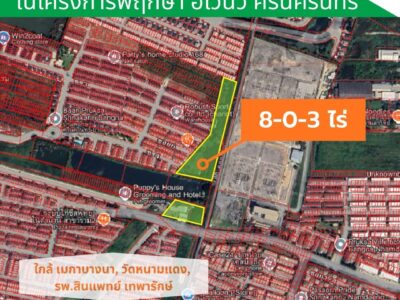 ขายที่ดินทำเบดี หนามแดง