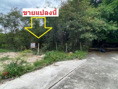 ขายที่ดิน ชัยพฤกษ์ บางนา-ตราด กม.18 สมุทรปราการ ประเมินวาละ22,000 ขายเพียงวาละ13,000