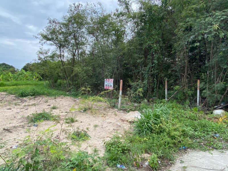 ขายที่ดิน ชัยพฤกษ์ บางนา-ตราด กม.18 สมุทรปราการ ประเมินวาละ22,000 ขายเพียงวาละ13,000