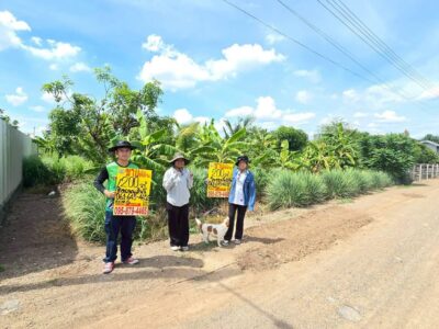 ที่ดิน 200 ตารางวา ติดถนนดิน ซอย คลองห้าตะวันตก 56 คลองหลวง ปทุมธานี