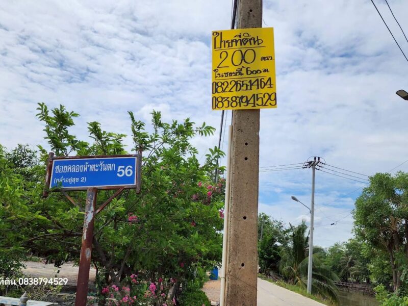 ที่ดิน 200 ตารางวา ติดถนนดิน ซอย คลองห้าตะวันตก 56 คลองหลวง ปทุมธานี