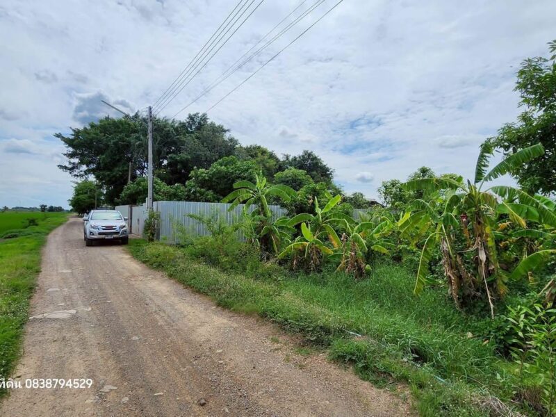 ที่ดิน 200 ตารางวา ติดถนนดิน ซอย คลองห้าตะวันตก 56 คลองหลวง ปทุมธานี