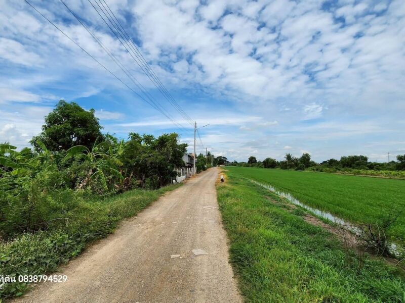 ที่ดิน 200 ตารางวา ติดถนนดิน ซอย คลองห้าตะวันตก 56 คลองหลวง ปทุมธานี