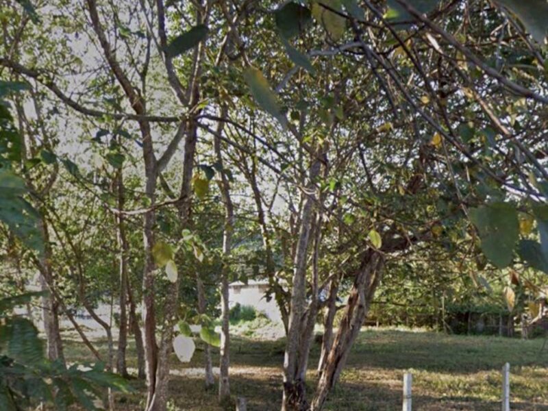 ขายที่ดินบ้านปง อ.หางดงเชียงใหม่ 1-0-10ตรว5.8ล้าน
