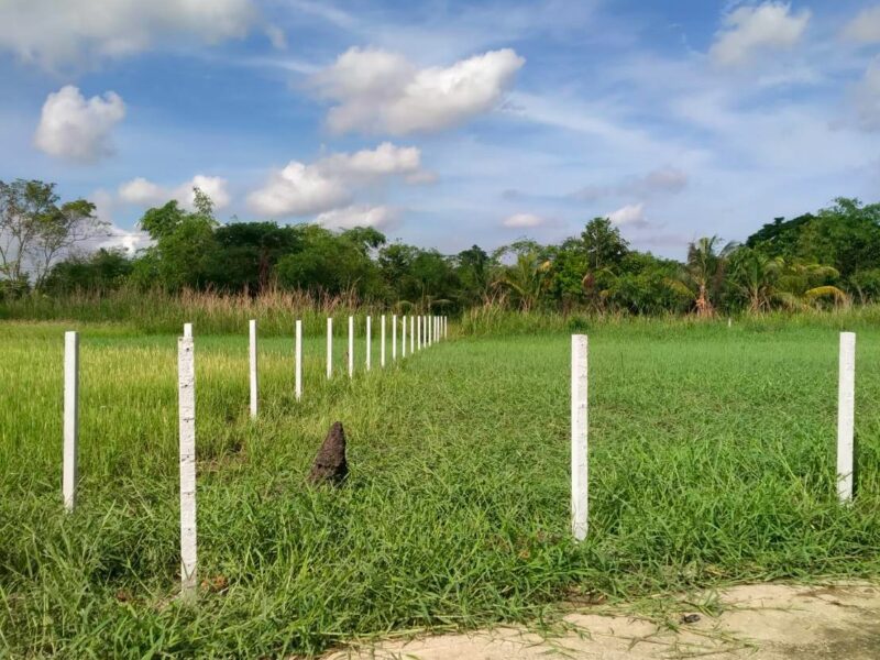 ขายที่ดิน 1 ไร่ 8 ตรว สุวินทวงศ์ 51 ซอยร่มเย็น 5 (รมณีย์ 2)