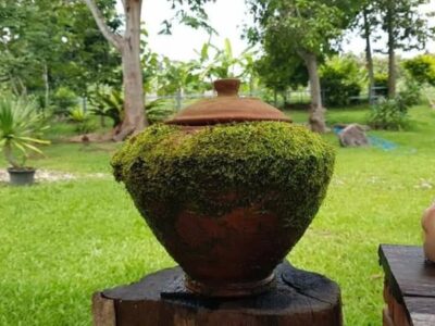 โอกาสครั้งสำคัญสำหรับการลงทุนและอยู่อาศัย! เราขอเสนอขายที่ดินแปลงมุมทำเลสวย เอกสารสิทธิ์ประเภท น.ส. 3 (เนื้อที่ทั้งหมด 6 ไร่ 3 งาน 27 ตารางวา หรือรวมทั้งหมด 2,727 ตารางวา)