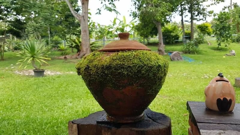 โอกาสครั้งสำคัญสำหรับการลงทุนและอยู่อาศัย! เราขอเสนอขายที่ดินแปลงมุมทำเลสวย เอกสารสิทธิ์ประเภท น.ส. 3 (เนื้อที่ทั้งหมด 6 ไร่ 3 งาน 27 ตารางวา หรือรวมทั้งหมด 2,727 ตารางวา)