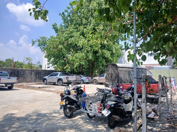 ขายที่ดินหลังเซเว่น ลาดปลาเค้า 66, กรุงเทพ เนื้อที่ 168 ตรว. หน้ากว้าง 40 ม ลึก 17 ม