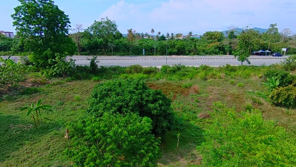 ที่ดินEEC ทำเลทองในระยอง แปลงสวยติดถนนใหญ่ ที่ดินศักยภาพสูง ใกล้สนามบินอู่ตะเภา เพียง 15 นาที!! โทร 064-5469789