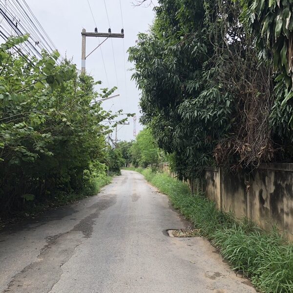 ที่ดินทำเลธุรกิจโคราช 5 ไร่ แปลงใหญ่ติดถนน 4 เลน หน้ากว้าง 51 เมตร ถมแล้ว พร้อมสร้างธุรกิจได้ทันที