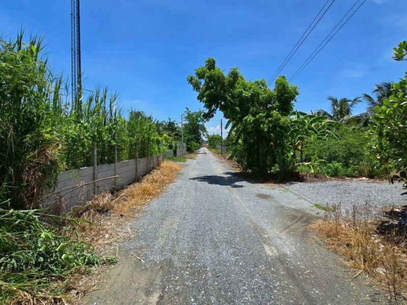 ขายด่วนที่ดินบางแวก 200 ตรว ติดถนนหินคลุก ซ.บางแวก 154 บางแค กทม.