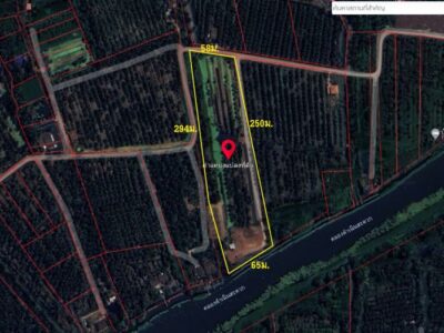 ที่ดินติดคลองดำเนินสะดวก ใกล้วัดบางยาง เขตเชื่อมต่อบ้านแพ้ว-กระทุ่มแบน