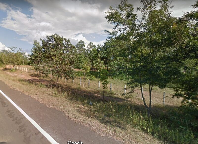 ขายที่สวนเพชรบูรณ์ 19 ไร่ 86 ตรว. หน้าติดถนน หลังติดเชิงเขา ต.ท่าอิบุญ,อ.หล่มสัก ตรว.ละ 1,000 บาท
