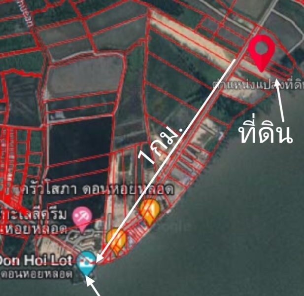 ที่ดินดอนหอยหลอดติดทะเล5ไร่ ใกล้กรมหลวงชุมพร1กิโลเมตร