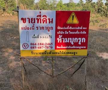 🔥 ขายที่ดินสวย อ.พิบูลมังสาหาร อุบลฯ ราคาคุ้มมาก! 🔥